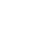 Audi.png